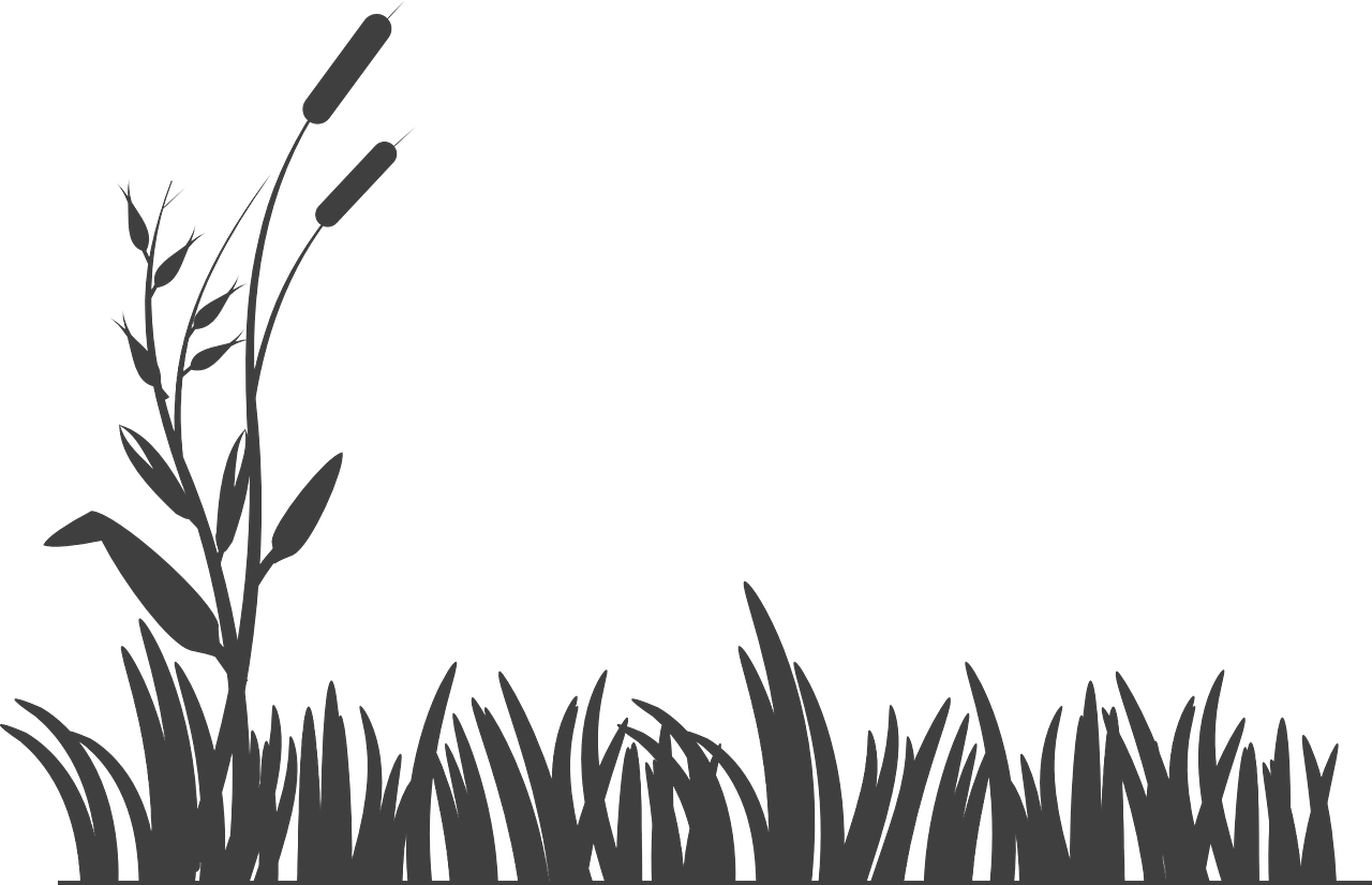 Cow Pro  Dairy Farm Solutions