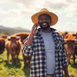 Cow Pro  Dairy Farm Solutions